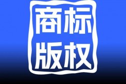 宝鸡面皮商标注册哪个类别,核心是这个类别!