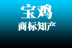 宝鸡商标以下情形不被视为《商标法》意义上的商标使用!