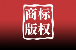宝鸡商标使用在指定服务上的具体表现形式有5个形式